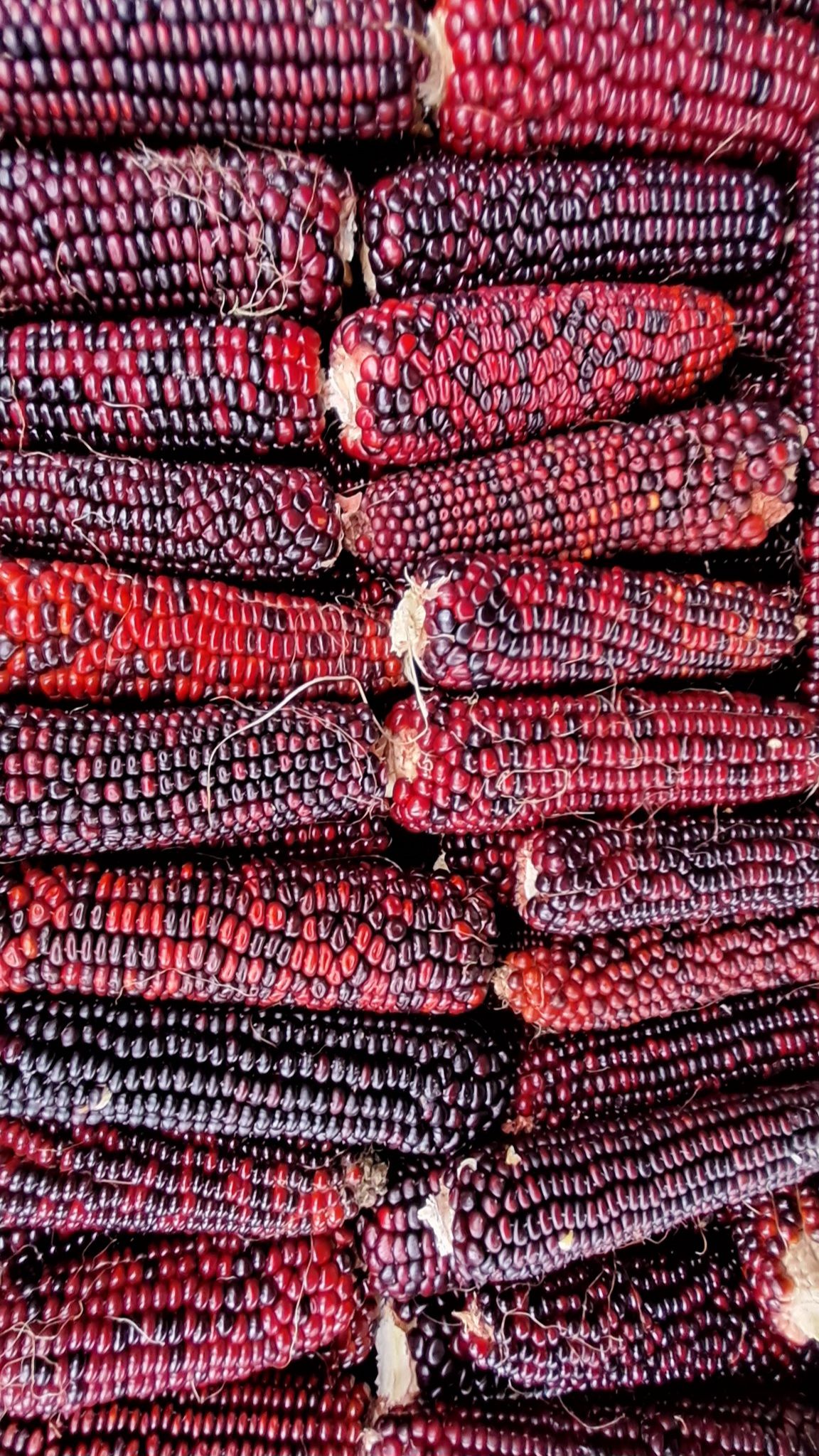 TAK-OS Mexicanstyle - 4